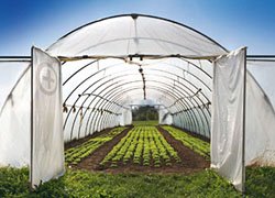 农业用功能助剂